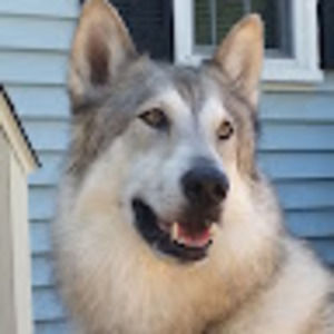 Meet your Posher, Janet